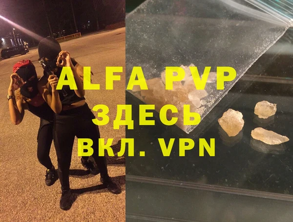 крисы Тында