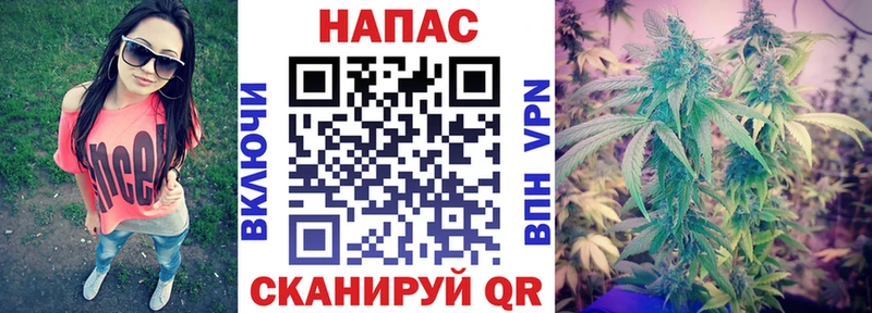 Бошки Шишки сатива  купить наркотики сайты  Алагир 
